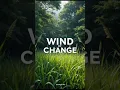 Download Lagu Scorpions - Wind Of Change #scorpions #windofchange #music #rock #song #shorts