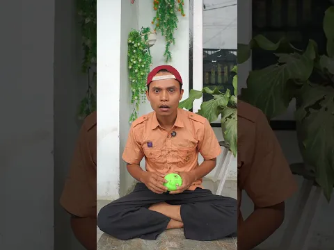 kucing batman kebelet dan zombie