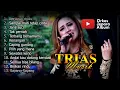 Download Lagu Trias Musik full album kompilasi