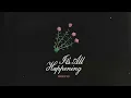 SAINT MOTEL - It's All Happening (Mariachi Version)