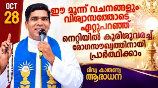 നെറ്റിയിൽ കുരിശുവരച്ച് രോഗസൗഖ്യത്തിനായി ആത്മാർത്ഥമായി പ്രാർത്ഥിക്കാം | Fr Francis Karthanam VC