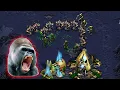 Download Lagu Best PvZ - Ladder Series - Starcraft Broodwar