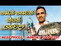 Food Cost in Qatar Living Cost in Qatar Qatar Vlog Sinhala