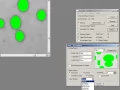 Threshold Measure Objects Image Pro Plus Software