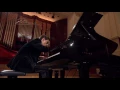 Dmitry Shishkin – Impromptu in F sharp major Op. 36 (third stage)