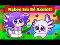 Download Lagu NABEE EM BÉ AXOLOTL ĐÁNG YÊU ĐƯỢC TÔ GÀ NHẬN NUÔI TRONG MINECRAFT*NABEE AXOLOTL 🥰😋
