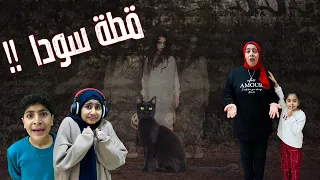 عشنا لحظات مرعبة بسبب قطة 