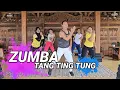 Download Lagu ZUMBA TANG TING TUNG VIRAL