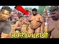 ये तो हाथी है मार देगा मुझको ? Deva thapa pehlwan ki kushti dangal 