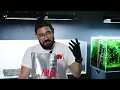 This Aquarium Soil Is Almost TOO Powerful! - We tried the new ADA Amazonia Pro