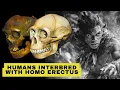 Download Lagu Bombshell Report: Humans Interbred With Homo Erectus in Asia