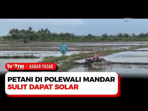 Solar Langka, Petani di Polewali Mandar Terancam Gagal Tanam