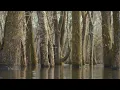 Nawang Khechog - Wisdom and Compassion  (Tibetan Meditation Music)