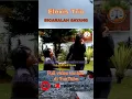 Download Lagu BICARALAH SAYANG - Elexis Trio #popindonesia #lagupopindonesia #poplawas #musikindonesia #elexis