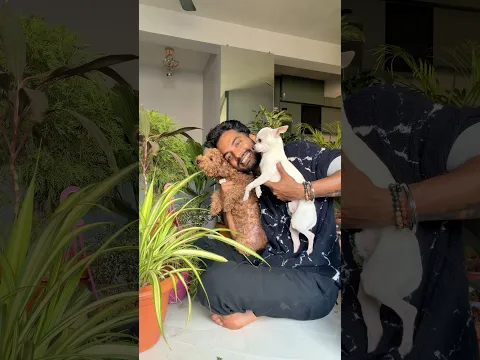 Kuch Plants Dogs Ke Liye Bahot Dangerous Hote Hai🌱Be careful 🙏🏽 #shorts #youtube #trending