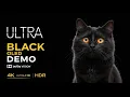 Download Lagu Best OLED 4K HDR Demo – Mind-Blowing Picture Quality at 120 FPS
