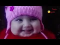 نور الزين - ودوني الخوالي ( فيديو كليب حصري ) 2019) حبيبة خاله 😘😘