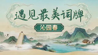 词牌到底是什么？不只是诗词写作的固定格式 它更是古人存放心情的千年容器！《百家讲坛》 遇见最美词牌 1 沁园春 20261001 | CCTV百家讲坛官方频道