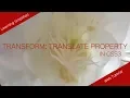 CSS3 transform translate property 2d and 3d animation