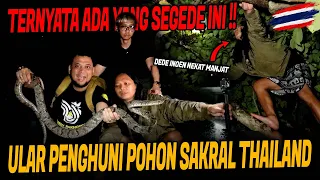 AKIBAT NEKAT CARI ULAR MALAM HARI DEDE INOEN HAMPIR KESURUPAN DI THAILAND!!