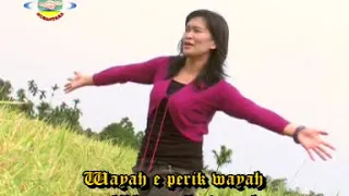 wayah e wayah darius sembiring u0026 neny olivia br tarigan gendang salih la jegir vol 4