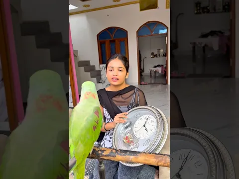 🦜Hoshiyar parrot ❤️ #parrot  #trending #shorts #dosti #viral #video 🥰 #viralvideo #shortvideo