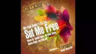 mr funk daddy dj sue set me free native roots remix