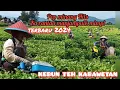 Download Lagu KARANTAU MANJAMPUIK MIMPI  -Pop Minang 2024- (Andra Respati  Feat Ovhi Firsti )