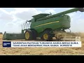Download Lagu Harga Beras Dunia Jatuh, Wamentan: Karena Indonesia Tidak Impor Lagi