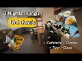 UC DAVIS Dorm Cafeteria Class Farmers Market tour 2026