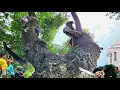 Download Lagu Gergaji Lipat untuk Pemilik Rumah, Pohon Tumbang ke Atap, Hujan Lebat Masih Turun, Gergaji Teknis...