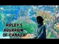 Ripley s Aquarium Toronto Family Visit Must-See Exhibits