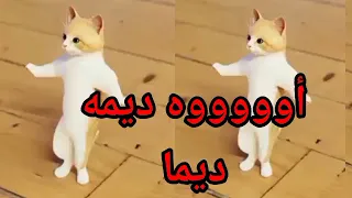 اغنية باسم ديما ديمه الحلوة سطلانة السعودية الكويت الامارات قطر عمان البحرين تركيا دبي ابوظبي 