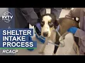 RCACP Animal Shelter Intake Process
