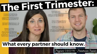 the first trimester of pregnancy what every partner needs to know symptoms changes baby growth 