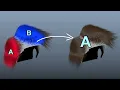 Ornatrix Maya How to use Merge operator