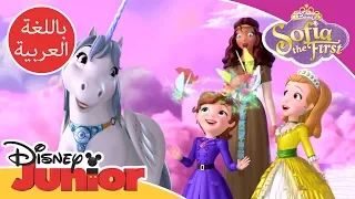 الجزيرة السحرية صوفيا الأولى ديزني جونيور العربية 