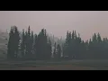 cancelled - attila // slowed & reverb