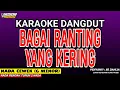 Download Lagu BAGAI RANTING YANG KERING KARAOKE DANGDUT - IIS DAHLIA