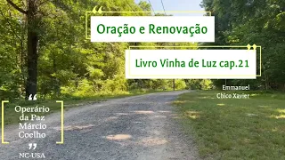 Série Mensagem "Oração e Renovação" Livro Vinha de luz cap. 21de Emmanuel, psicografia Chico Xavier