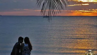 ناسى هواك كلمات الحان غناء عمرو أنور 