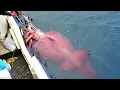 Download Lagu Modern Fast Squid Fishing Technology on Big Boat, Amazing Traditional Big Squid Fishing Skill