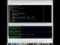 Echo client
