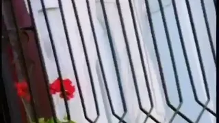 صابر الرباعي سيدي منصور يا بابا 