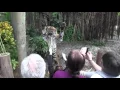 Spend Spring Break at Palm Beach Zoo