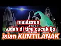 Download Lagu suara MASTERAN cucak ijo gacor-cor || bongkar Isian kuntilanak