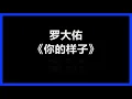 【原唱】 罗大佑 - 《你的样子》 [歌词]