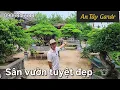 Download Lagu Admire the beautiful garden of An Tay Hai Duong