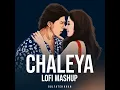 Chaleya (Lofi Mashup) - Gulfateh Khan