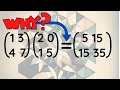 Why do we multiply matrices the way we do